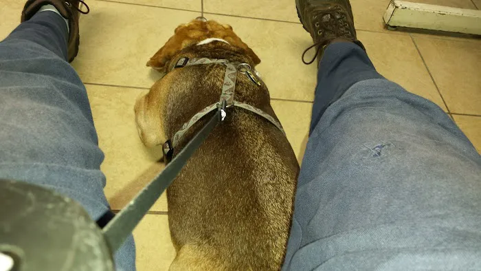 Toms River Animal Hospital 7
