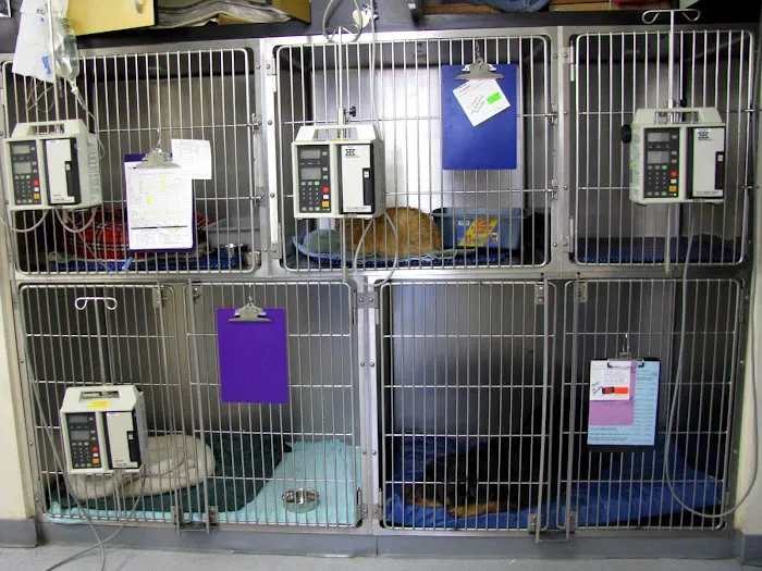 Toms River Animal Hospital 10