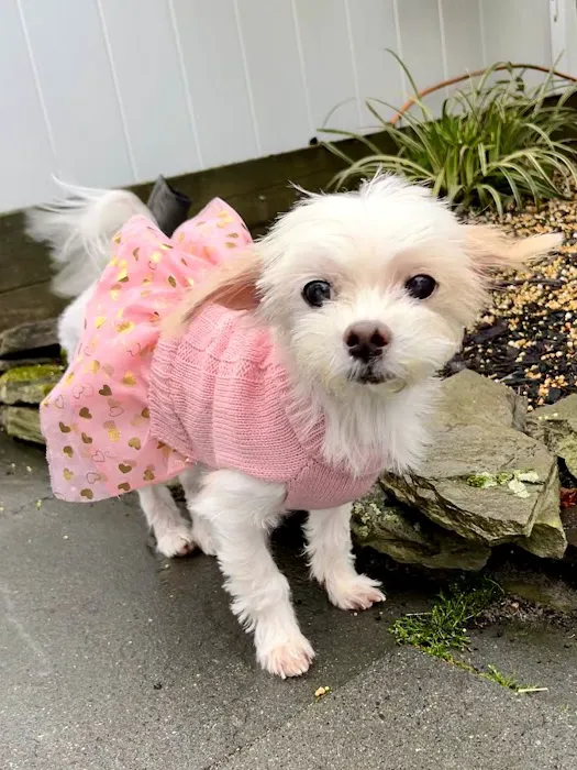 Squan Animal Hospital 12