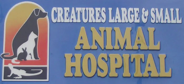 Creatures Large & Small Animal Hospital 12