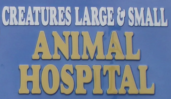 Creatures Large & Small Animal Hospital 12