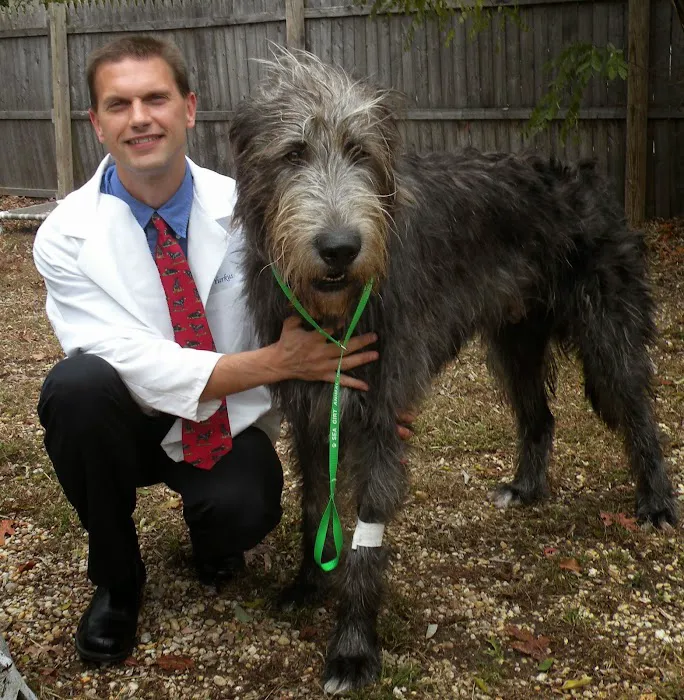 Sea Girt Animal Hospital 12