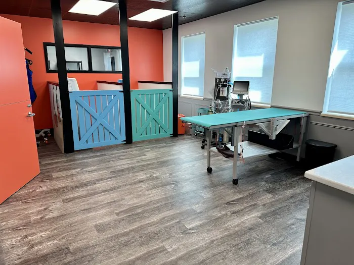 The Doggy Gym 12