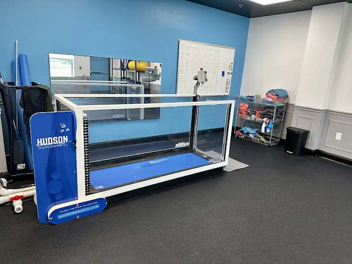 The Doggy Gym 12