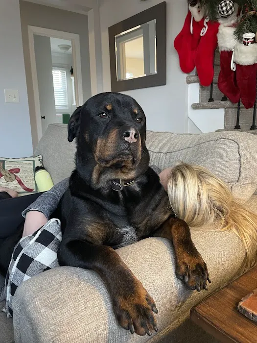 Brielle Animal Clinic 12