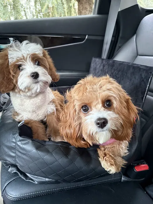 Brielle Animal Clinic 12