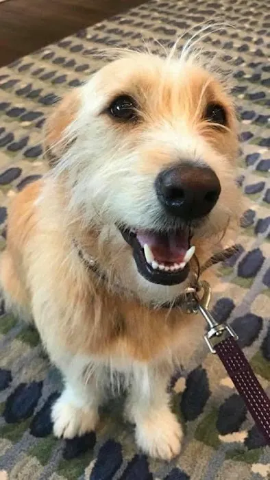 Brielle Animal Clinic 12