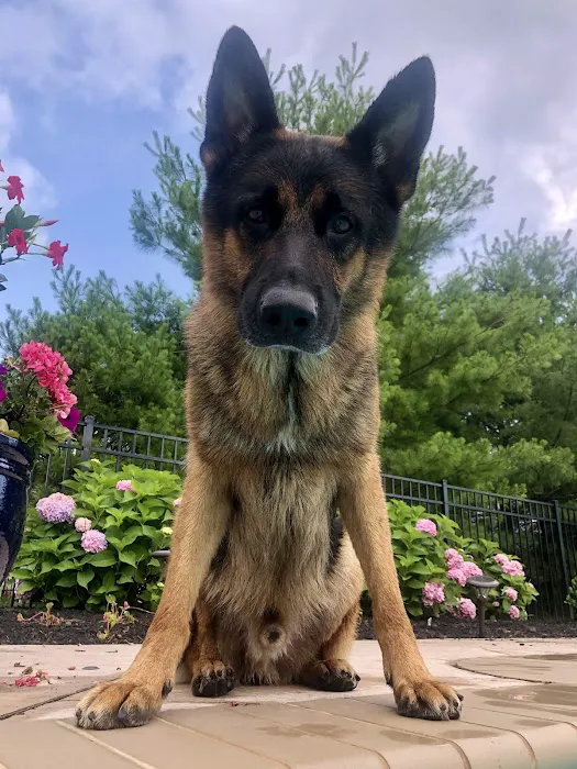 Brielle Animal Clinic 12