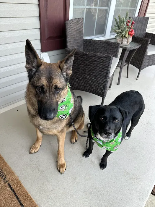 Brielle Animal Clinic 12