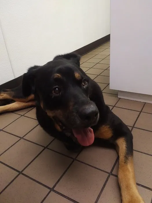 Belmar Wall Animal Hospital 12