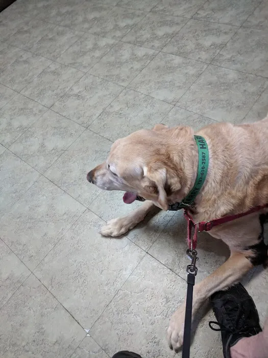 Belmar Wall Animal Hospital 12