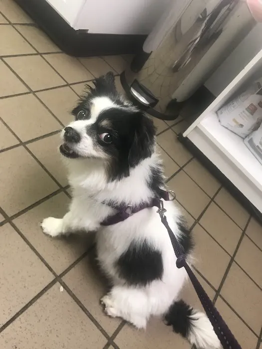 Belmar Wall Animal Hospital 12