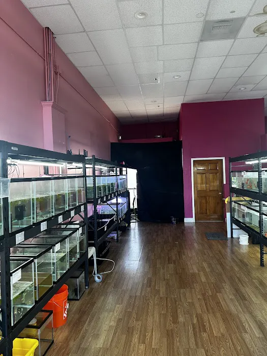 Bright Aquarium 4