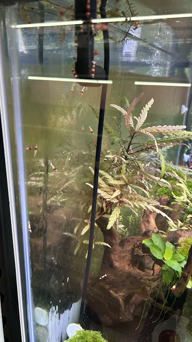 Bright Aquarium 7