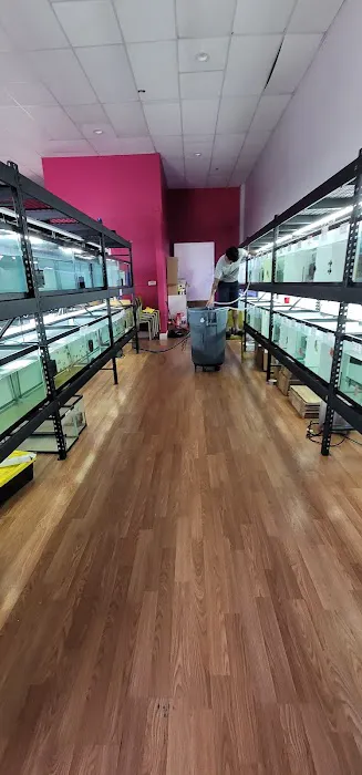 Bright Aquarium 2