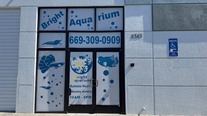 Bright Aquarium 6