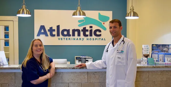 Atlantic Veterinary Hospital 12