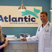 Atlantic Veterinary Hospital ico