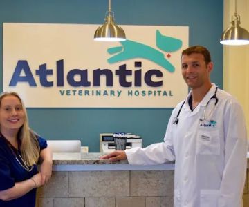 Atlantic Veterinary Hospital