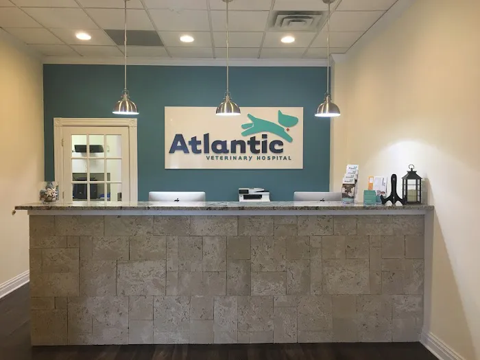 Atlantic Veterinary Hospital 12
