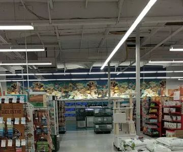 Petco