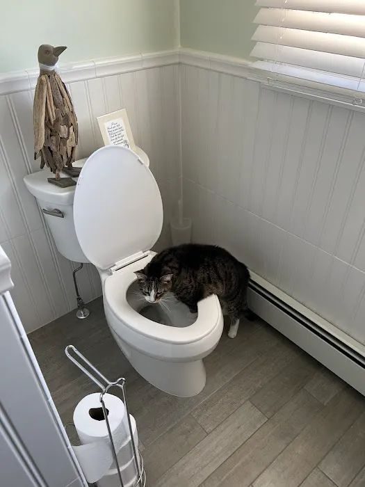 Beach Animal Hospital and Specialty Services 12