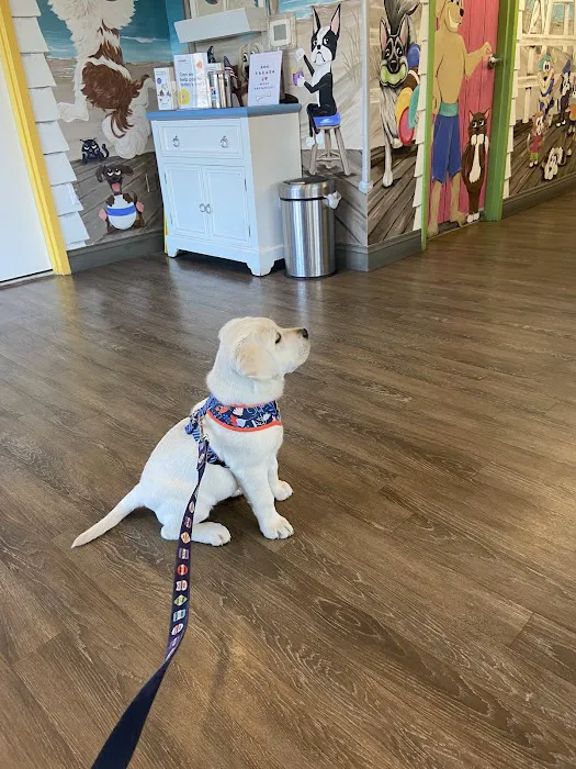 Point Pleasant Veterinary Hospital 12