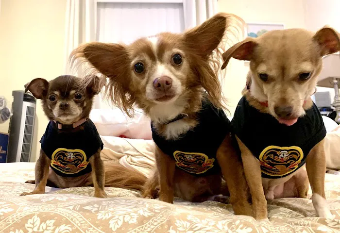 Point Pleasant Veterinary Hospital 12