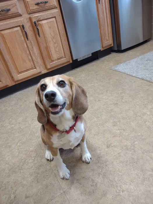 Point Pleasant Veterinary Hospital 12