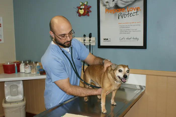 Shrewsbury Animal Hospital 6