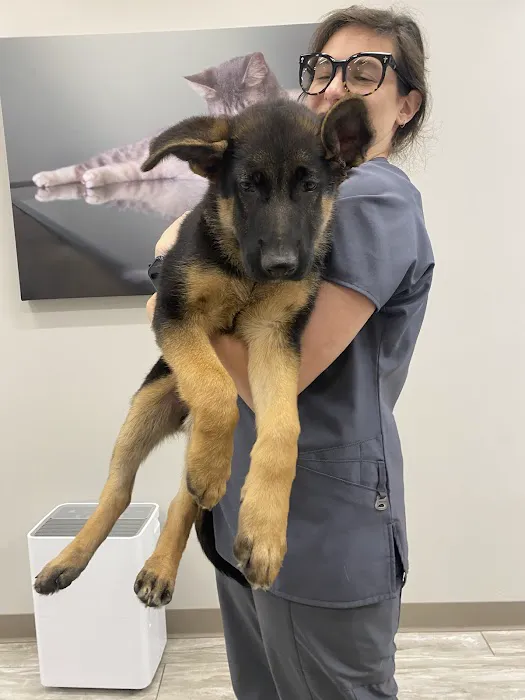 Shrewsbury Animal Hospital 7