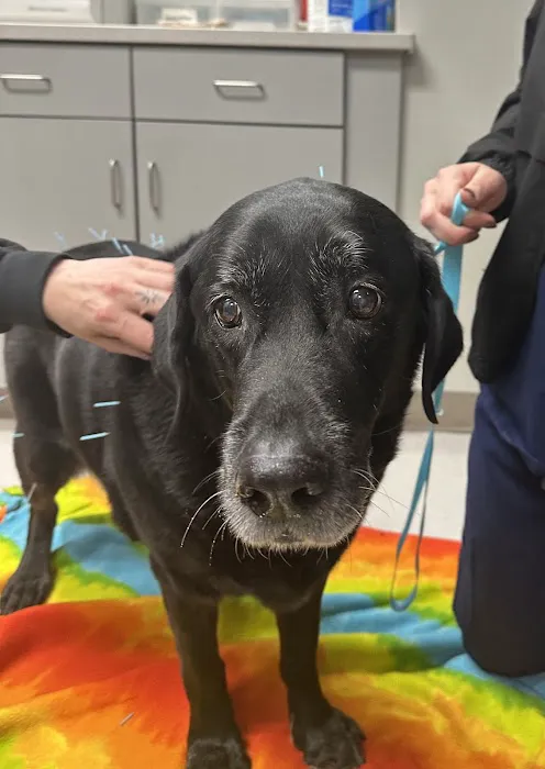 Shrewsbury Animal Hospital 3