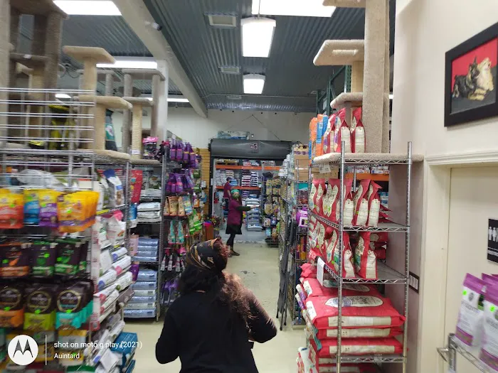 Petvet Petfood 5