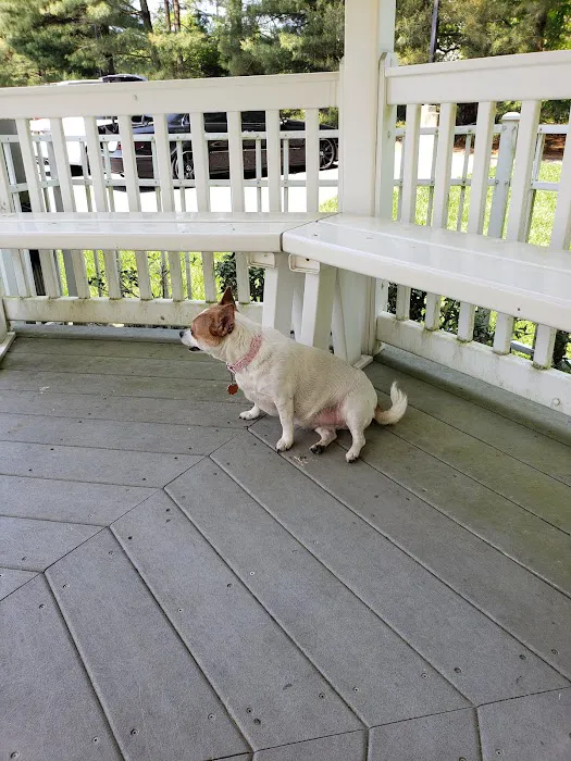 Garden State Veterinary Specialists Eatontown 12