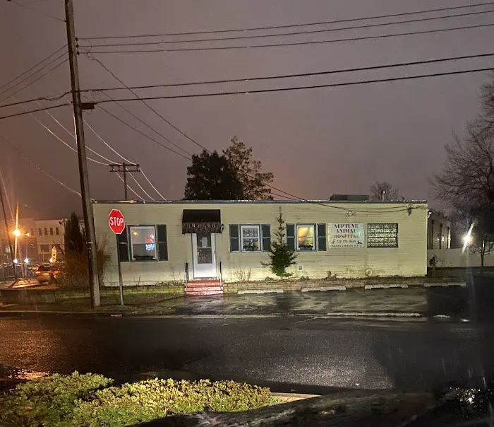 Neptune Animal Hospital 12