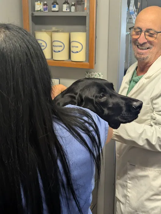 Neptune Animal Hospital 12