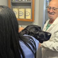 Neptune Animal Hospital ico