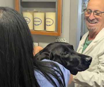 Neptune Animal Hospital