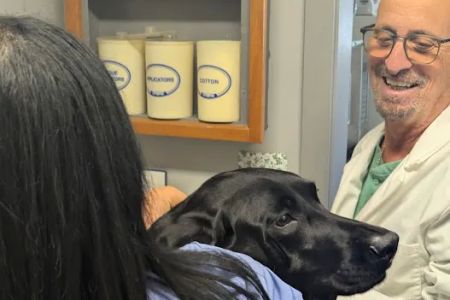 Neptune Animal Hospital