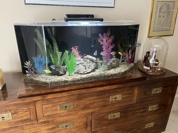 South Bay Freshwater 4