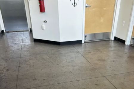 City By The Sea Veterinary