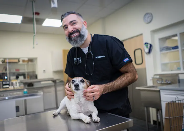 City By The Sea Veterinary 12