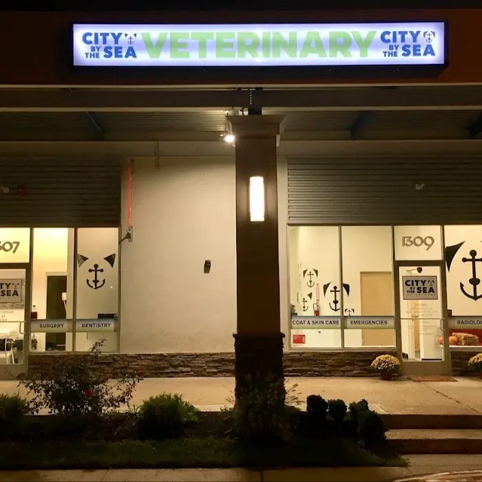 City By The Sea Veterinary 12