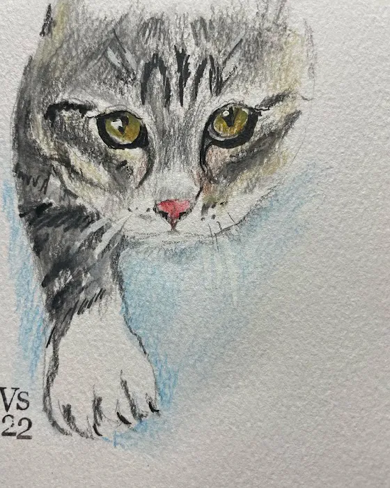 Oakhurst Veterinary Hospital 12