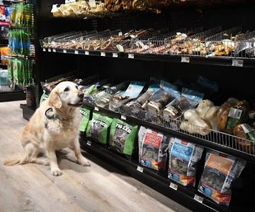 Woodlands Pet Shop
