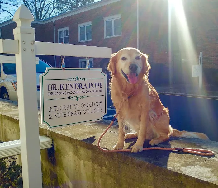 Prism Integrative Veterinary Health 12