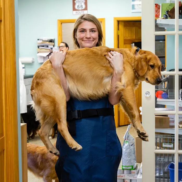 Happy Tails Veterinary Hospital 1
