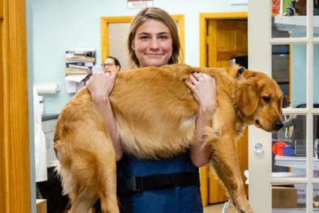 Happy Tails Veterinary Hospital