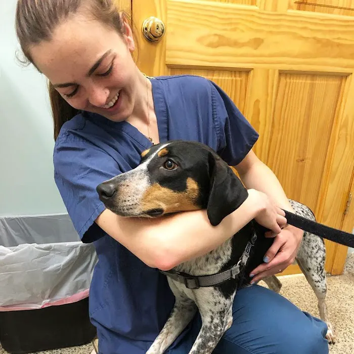 Happy Tails Veterinary Hospital 3