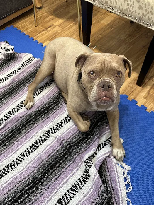 Naturopawthic Veterinary Wellness Center 12